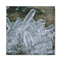 Ice Sculptures magnets by animalpark Ice Sculptures magnets