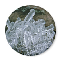 Ice Sculptures magnets by animalpark Ice Sculptures magnets