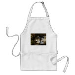 Ice Sheet aprons