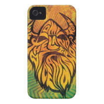 Ice & Snow Viking casemate cases