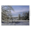 Ice storm 1 cards by kchwxdr Ice storm 1 cards