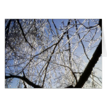Ice storm 2 cards by kchwxdr Ice storm 2 cards