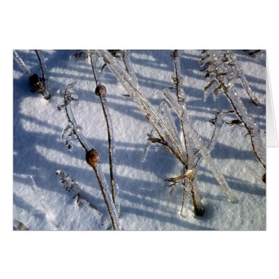Ice storm 4 card by kchwxdr