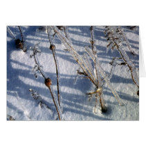 Ice storm 4 cards by kchwxdr Ice storm 4 cards