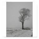 Ice Tree posters by emonemo1023 Ice Tree posters