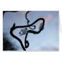 Ice vine cards