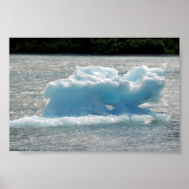 Iceberg Posters