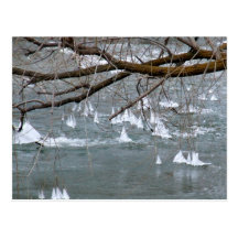 IceBoats Postcards