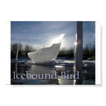 Icebound Bird posters by jandb77391 Icebound Bird posters
