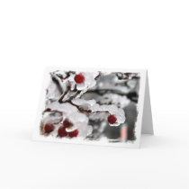 Iced Berries cards by ly_tak Iced Berries cards