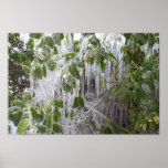 Iced Leaves Print