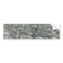 Iced over bumper sticker