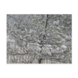 Iced over postcard