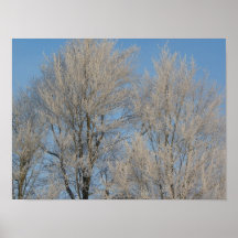Iced Tree II Posters