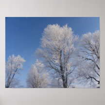 Iced Tree Posters