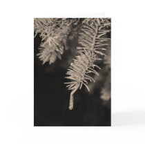 ICee cards