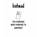 Icehead I'm nobody and nobody is perfect teens t t-shirts