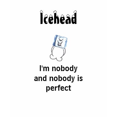 Icehead I'm nobody and nobody is perfect teens t T Shirt by mjj442