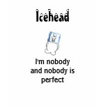 Icehead I'm nobody and nobody is perfect teens t t-shirts