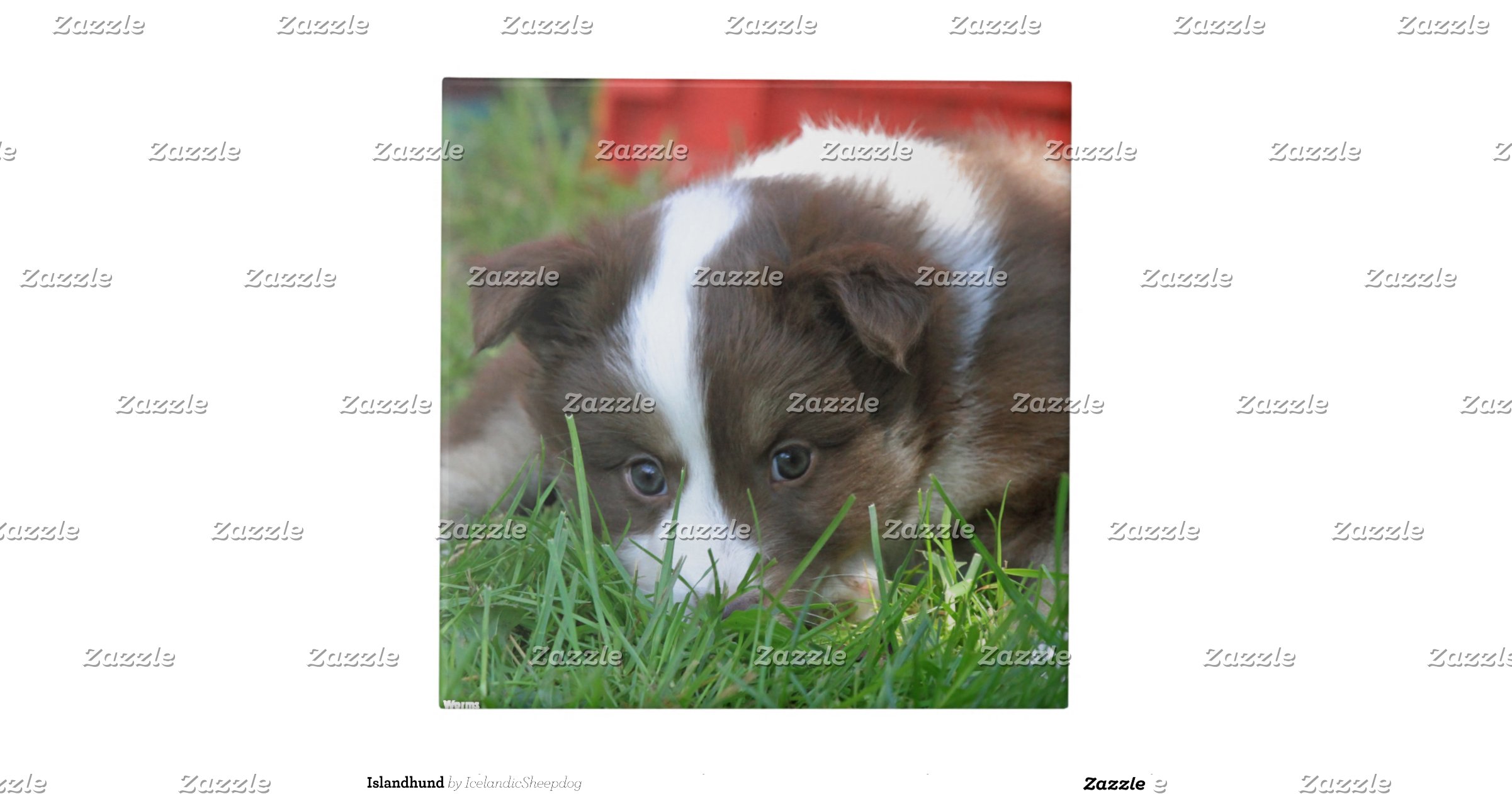 Iceland dog tile Zazzle