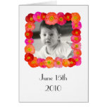 Iceland Poppies Card cards