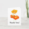 Iceland Poppies Thank You Notecard card
