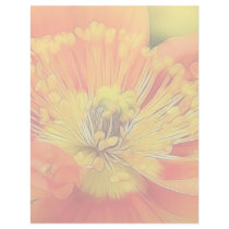 Iceland Poppy Custom Letterhead