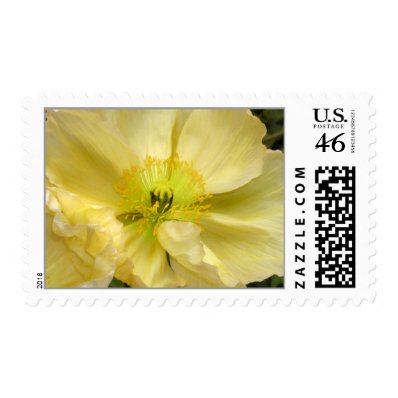 Iceland Poppy Wedding Flower Postage Stamps
