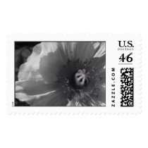 Iceland Poppy Wedding Postage Stamp by naturalilly Iceland Poppy Wedding Postage Stamp
