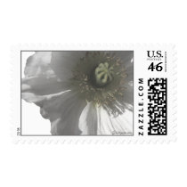 Iceland Poppy Wedding Postage Stamps by naturalilly Iceland Poppy Wedding Postage Stamps