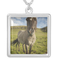 Iceland, Reykjavik. Frontal view of Icelandic Personalized Necklace