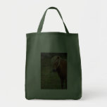 Icelandic Foal Bags
