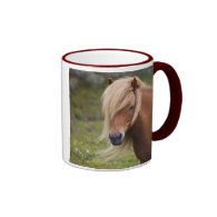 Icelandic Foal Coffee Mug