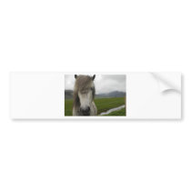 Icelandic Horse Bumper Stickers
