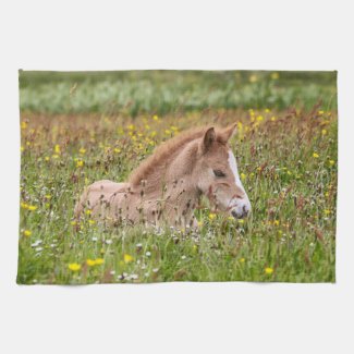 Icelandic Horse Foal Kitchen Towel