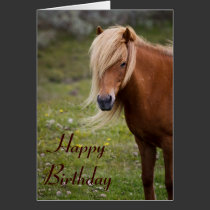 Icelandic Horse Happy Birthday Greeting Card cards