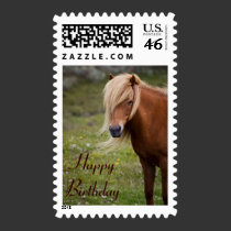 Icelandic Horse Happy Birthday Stamp stamps