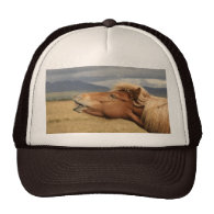 Icelandic horse Hat