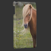 Icelandic Horse ipad mini cases