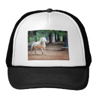 Icelandic Horse Mesh Hats