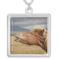 Icelandic horse Necklace