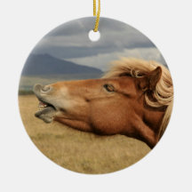 Icelandic horse Ornament