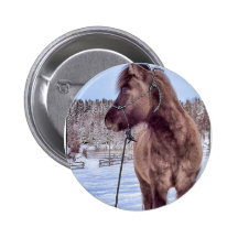 Icelandic Horse Power Buttons