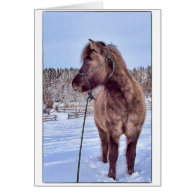 Icelandic Horse Power Card