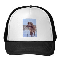 Icelandic Horse Power Hats