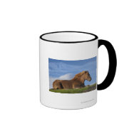 Icelandic horse resting and sky coffee mug
