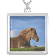 Icelandic horse resting and sky pendant