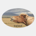 Icelandic horse Sticker