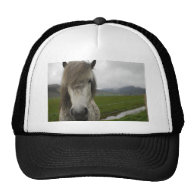 Icelandic Horse Trucker Hat