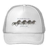 Icelandic horses are smooth as Silk ~ Ball cap Hat